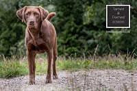 Tamed and Framed pet photography 1065866 Image 6